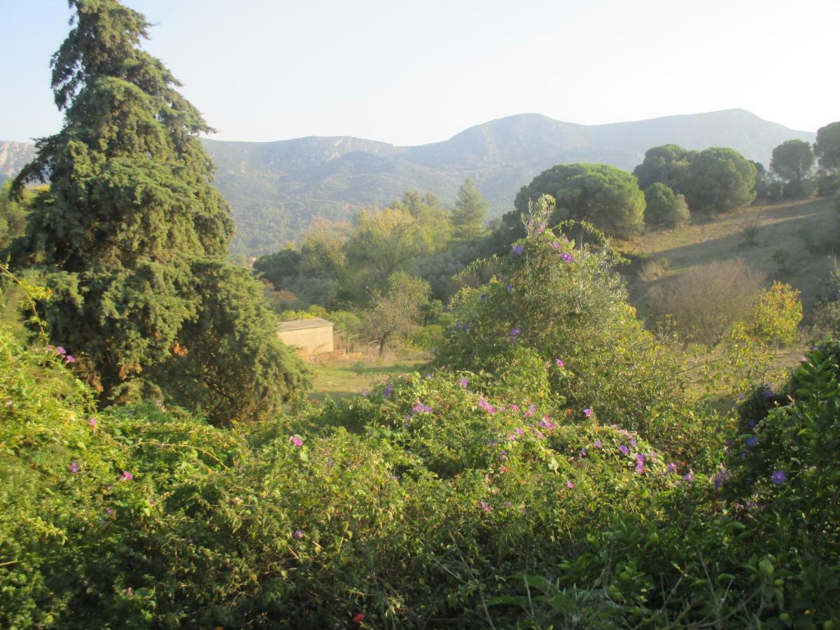Coin De Paradis Quinta do Anjo Kültér fotó