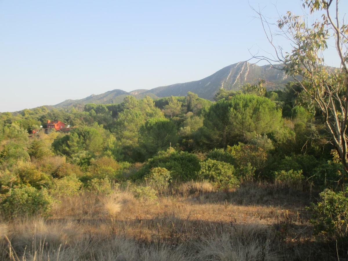 Coin De Paradis Quinta do Anjo Kültér fotó